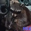 avatar Renegade Samurai