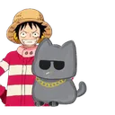.haso