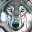 wolf0642