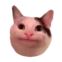 joseluiismart