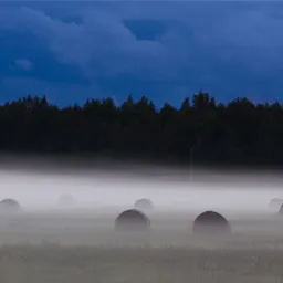 Salacavalini's Avatar