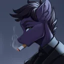 thetalkingpegasus