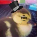 theduckmaster.