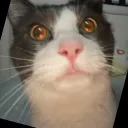 soap.muncher
