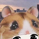 kichen