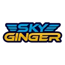 skyginger