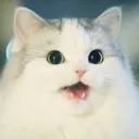 Sinsie's Avatar