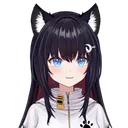 nkn3710