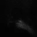 SNARL's Avatar