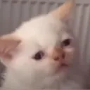elchad