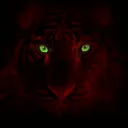 the_redtiger