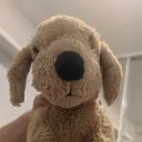 .stealthkitten