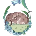 shruteek