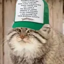 sendmemanuls