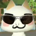 trainerwf