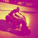 eliotseineroe