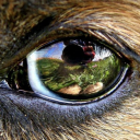 unutumut#5216's avatar