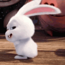 reddeadconejo