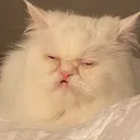 lilswampboogerbaby