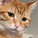 micah.b
