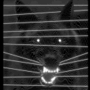 unscrupulouslupus