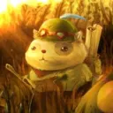 koopastar