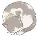 shirouukun