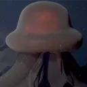 charlieisawful