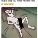 ngl1017