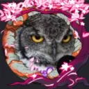 darkqueenofthenight
