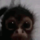 jaseppy