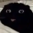 ghostcat_
