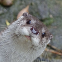 logan7b#3262's avatar