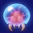 Pro_Skrub