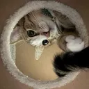 sleepystick
