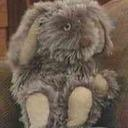 MrFloppy / Dominik