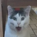 oHiMi1337's Avatar