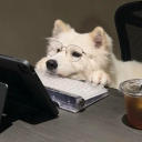 avatar TheWingedGuest