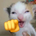 fennzyn