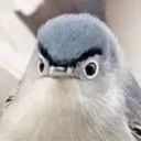 spytim