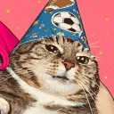 bigcatluci