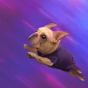 dagostin