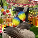 leavinggoose046