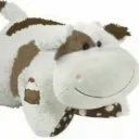 icyjl