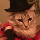 jokerptoh