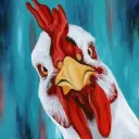 chickendew