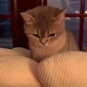al_v