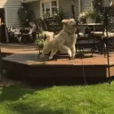 edgrrrr