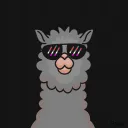 alpacuss