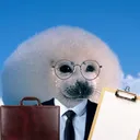 murkies